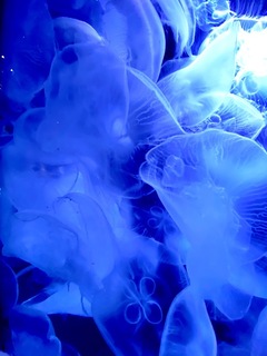 7DA6EDB7-265A-4336-9C49-5E8775B34751.jpeg