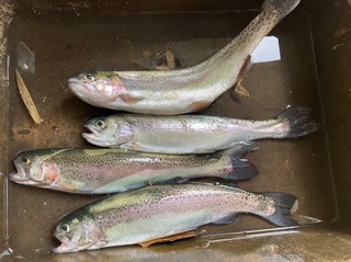 LINE_ALBUM_20230526_230526_0.jpg